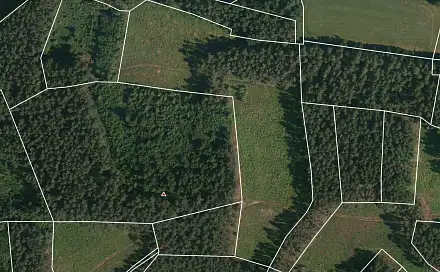 Prodej lesa 24 705 m², Přechovice, okres Strakonice