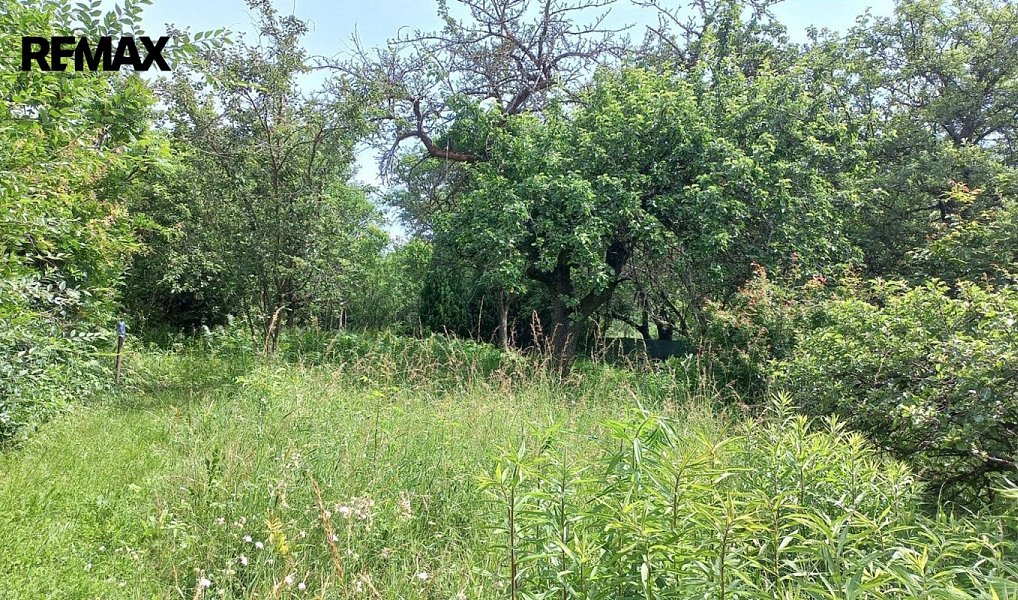 Prodej zahrady 1 853 m², Bílovice nad Svitavou – náhled fotky 13