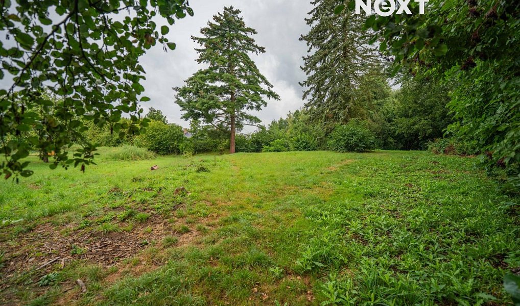 Prodej stavebního pozemku 3 456 m², Loštice – náhled fotky 2