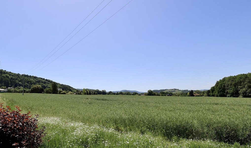 Prodej stavebního pozemku 800 m², Hukvaldy – náhled fotky 6