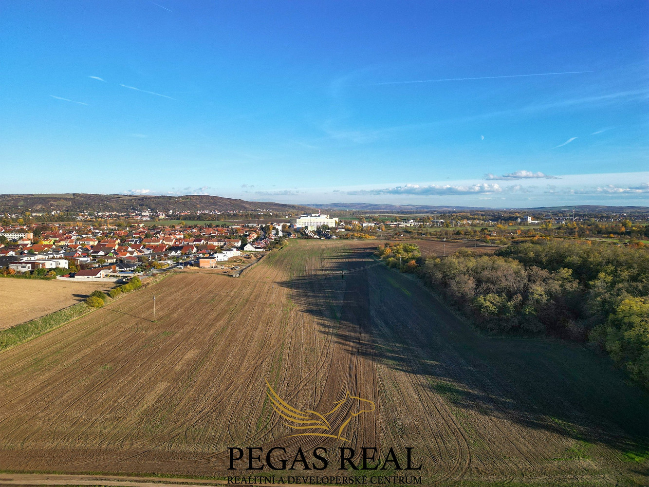 Prodej pozemku 16 289 m² – fotografie 4