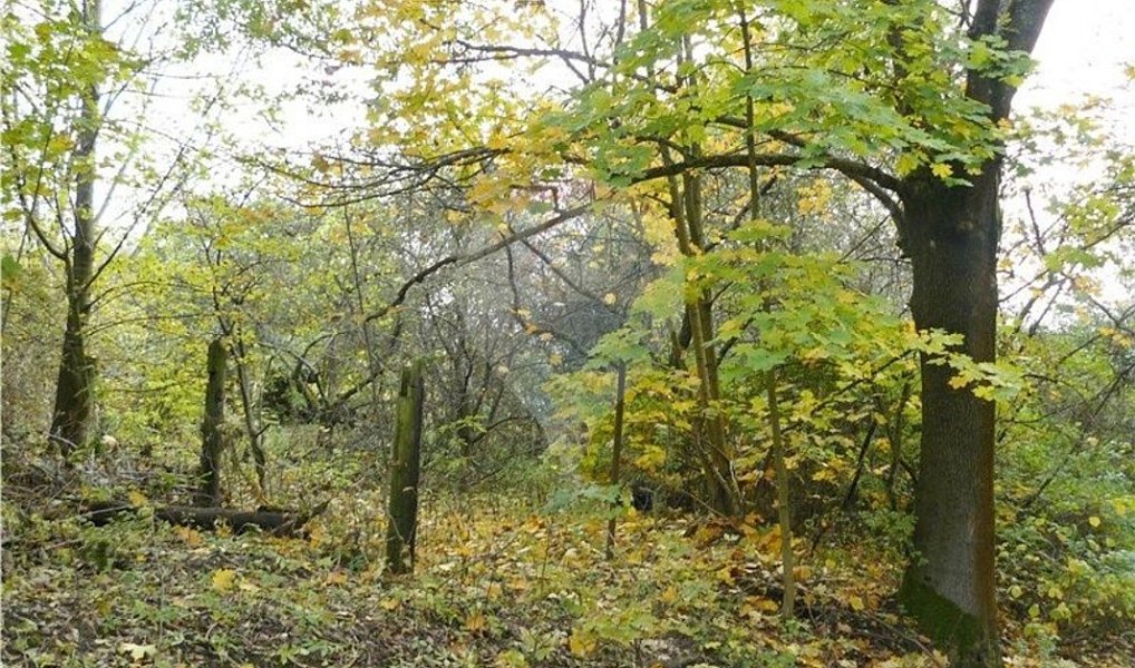 Prodej stavebního pozemku 1 311 m², Mariánské Lázně – náhled fotky 5