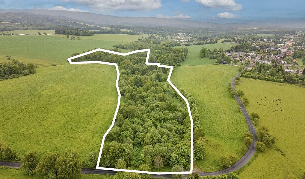 Prodej pole 54 868 m², Krajková – náhled fotky 7