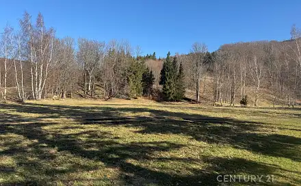 Prodej louky 3 194 m², Bílý Potok, okres Liberec