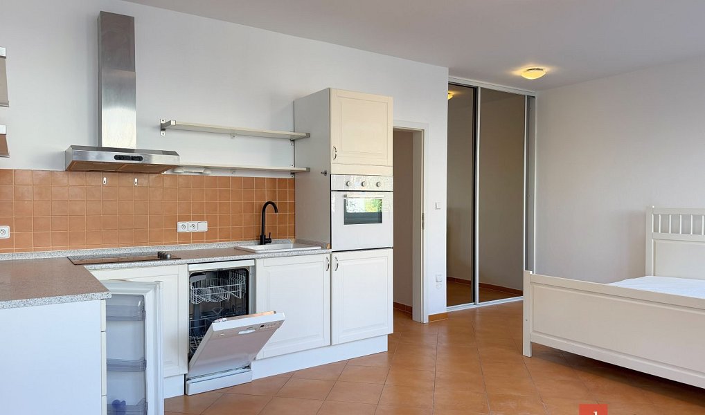 Pronájem bytu 1+kk 33 m², Plzeň – náhled fotky 4