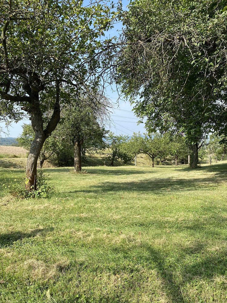 Prodej stavebního pozemku 3 359 m² – fotografie 2