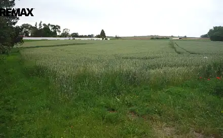 Prodej stavebního pozemku 985 m², Hořesedly, okres Rakovník