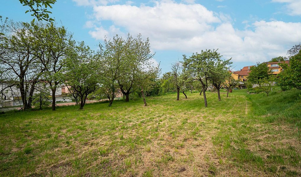 Prodej zahrady 1 052 m², Pozořice – náhled fotky 9