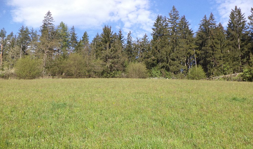 Prodej pole 9 910 m², Mokrosuky – náhled fotky 2