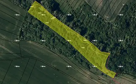 Prodej pole 7 855 m², Vyškov