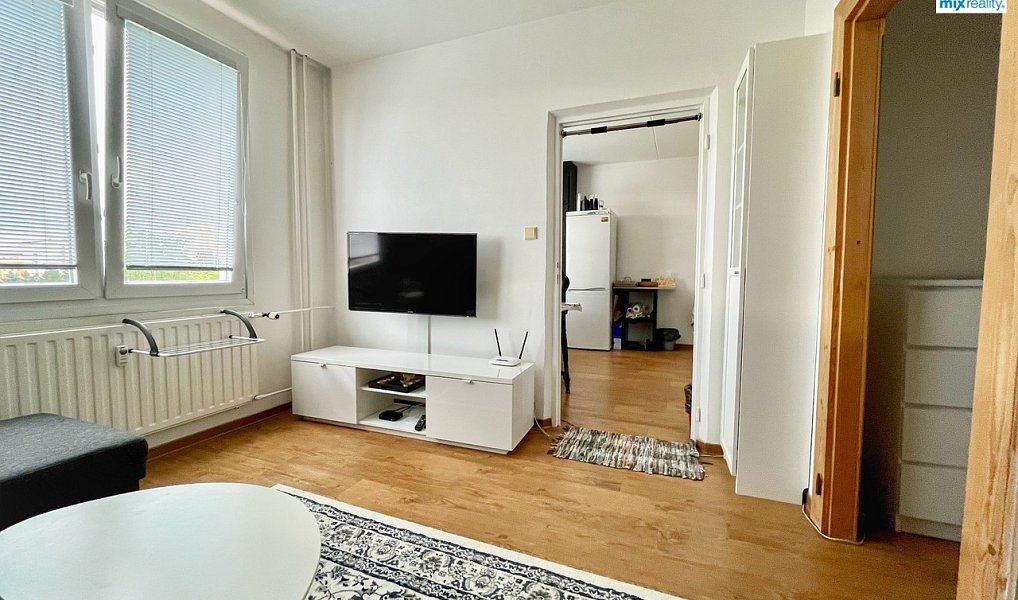 Pronájem bytu 1+1 39 m², Plzeň – náhled fotky 4