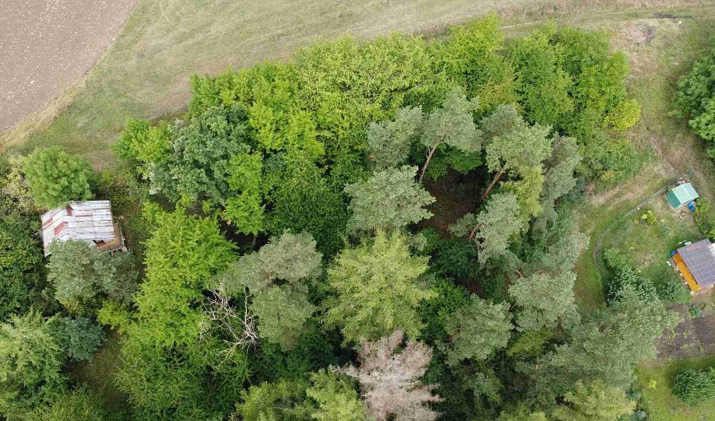 Prodej pozemku 864 m², Skuteč – fotka 1 z 7