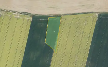 Prodej pole 4 520 m², Karlovice, okres Zlín