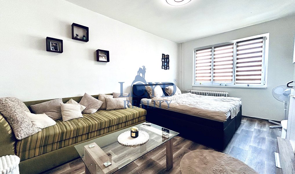 Prodej bytu 1+1 36 m², Karlovy Vary – náhled fotky 4