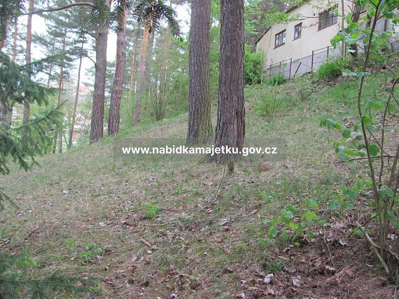 Prodej zahrady 215 m² – fotografie 2