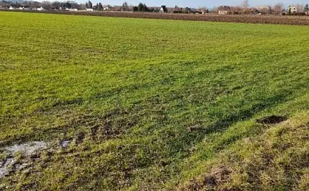 Pronájem zahrady 700 m², Kopřivnice, okres Nový Jičín