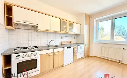Pronájem bytu 2+1 67 m², K Lutové, Plzeň - Černice
