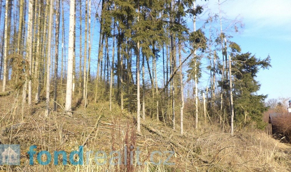Prodej pozemku 1 595 m², Tábor – náhled fotky 2