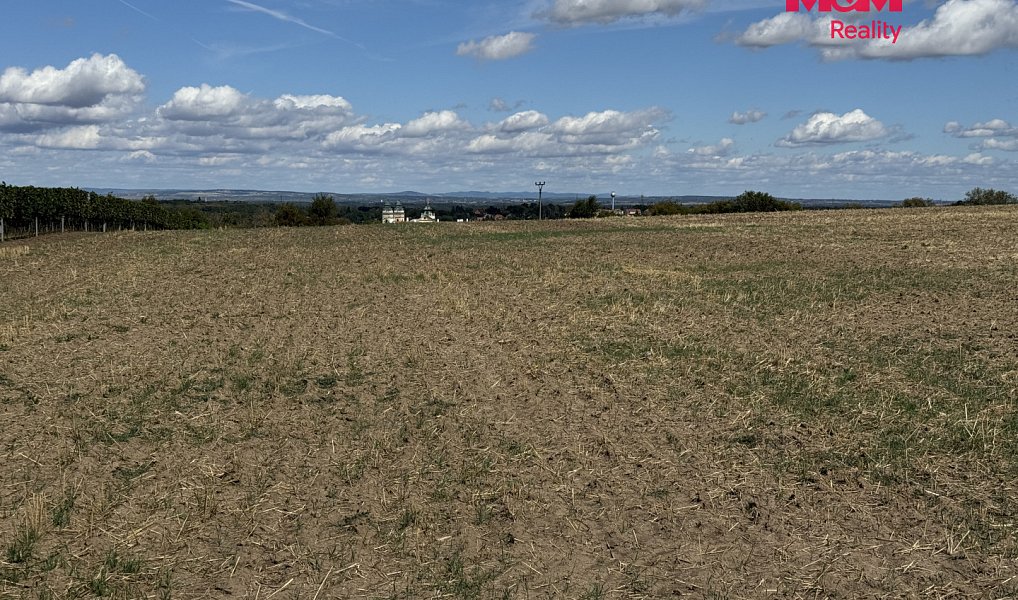 Prodej pole 9 598 m², Valtice – náhled fotky 8