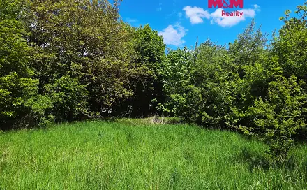 Prodej stavebního pozemku 1 093 m², Bor - Boječnice, okres Tachov