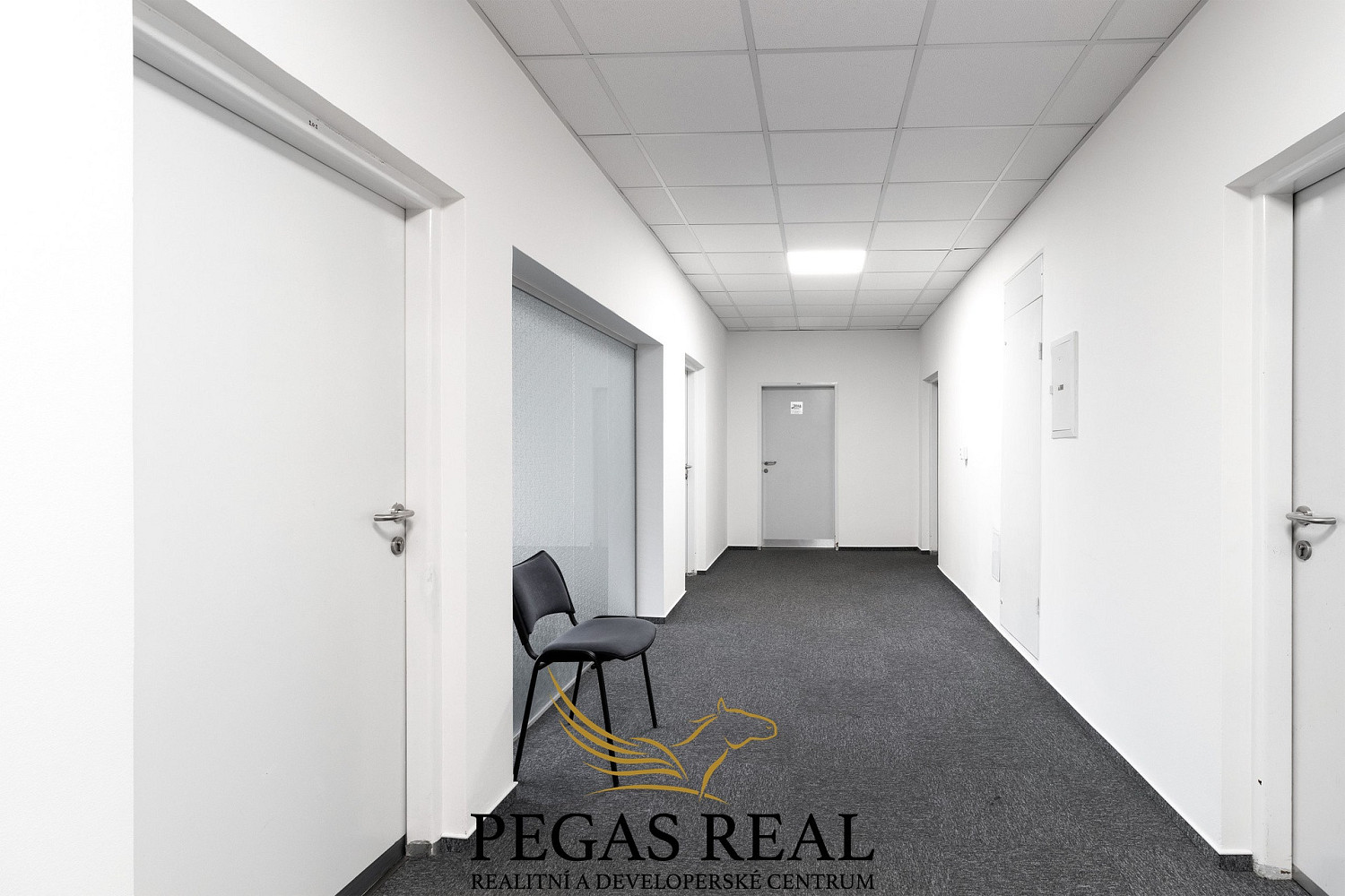 Pronájem kanceláře 76 m² – fotografie 5