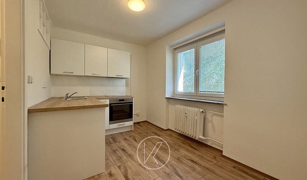 Pronájem bytu 1+1 28 m², Plzeň – náhled fotky 2
