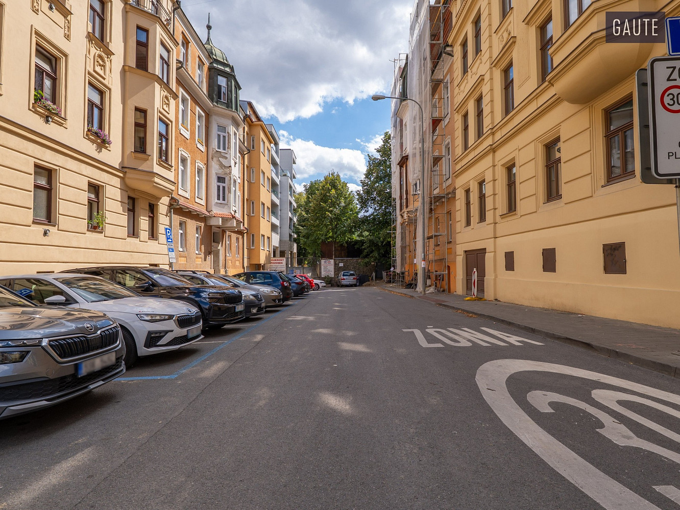 Prodej stavebního pozemku 2 919 m² – fotografie 3