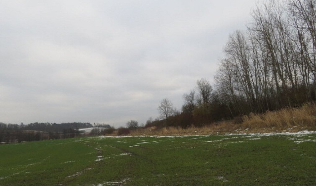 Dražba louky, 18528 m², Hradec Králové, Račice nad Trotinou