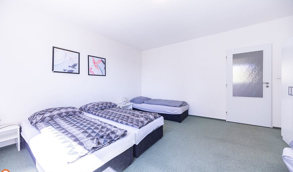 Prodej komerčního objektu (jiného typu) 450 m², Staré Město – náhled fotky 11