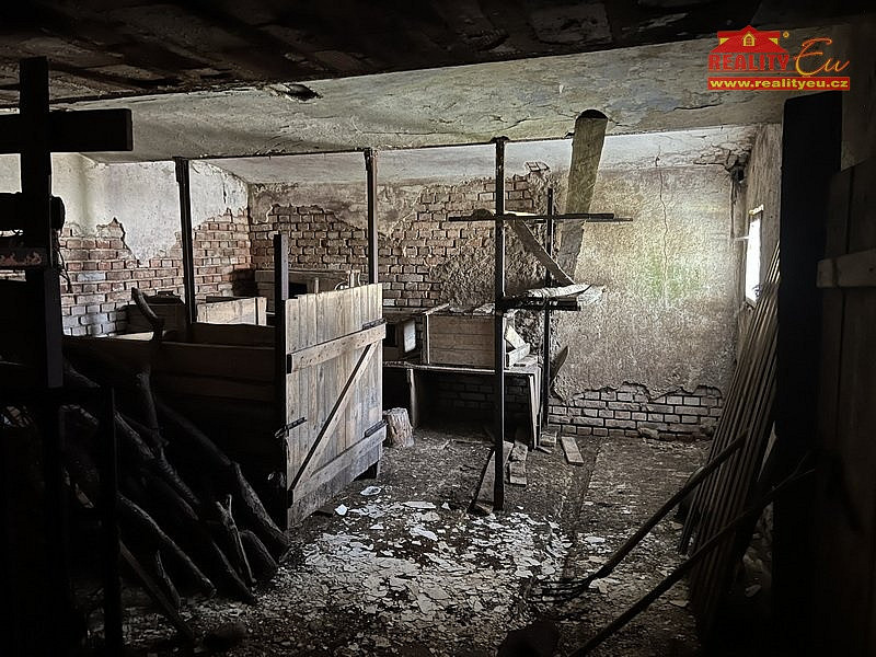 Fotka 8 z 11