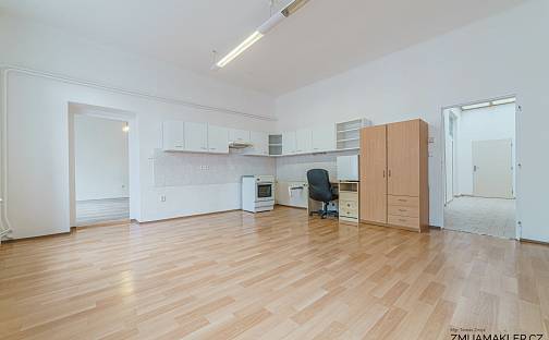 Prodej domu 363 m² s pozemkem 289 m², Pivovarská, Opava - Předměstí