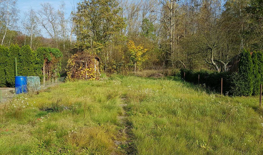 Pronájem zahrady 200 m², Rybitví – náhled fotky 2