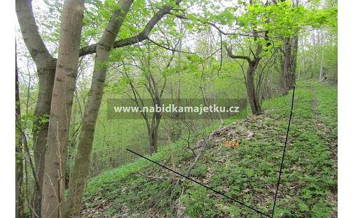 Prodej pozemku 1 007 m², Čistá, okres Svitavy