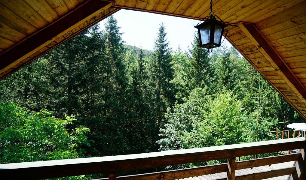 Prodej chaty/chalupy 90 m² s pozemkem 2 191 m², Hvozdnice – náhled fotky 5