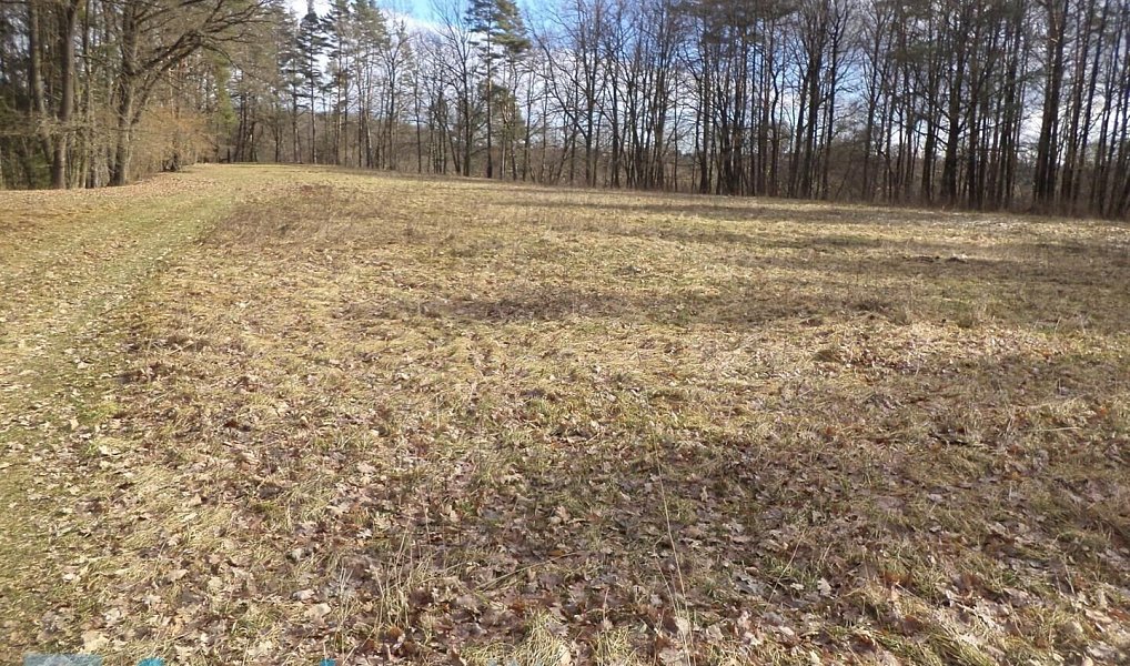 Prodej pozemku 15 643 m², Novosedly nad Nežárkou – náhled fotky 4