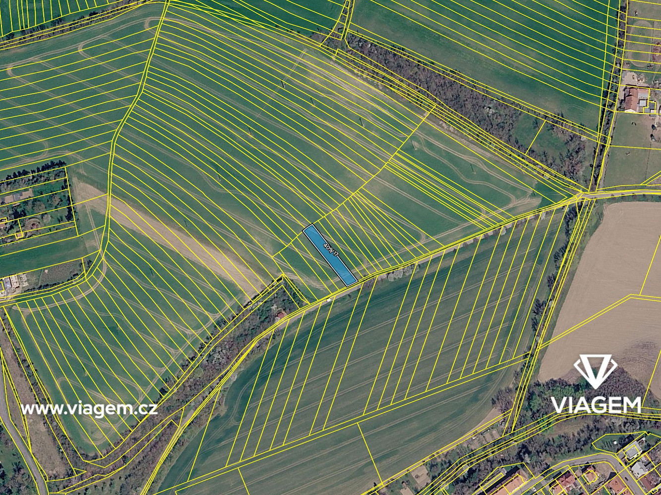 Prodej pole 784 m² – fotografie 4