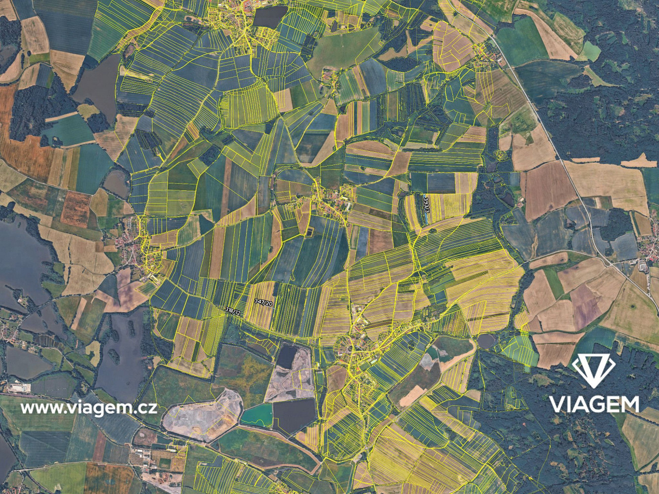 Prodej pole 2 100 m² – fotografie 4