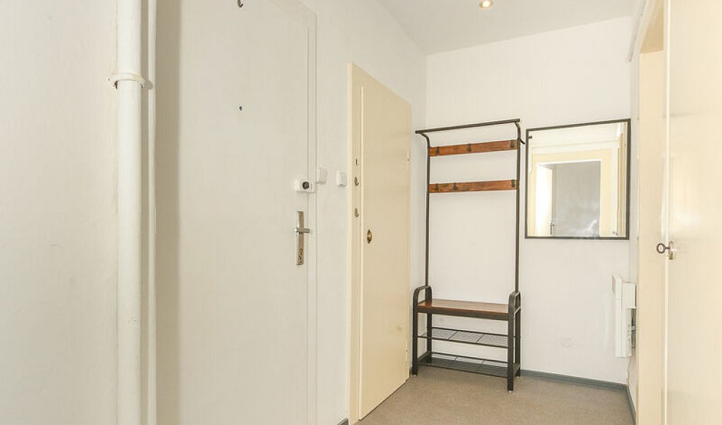 Pronájem bytu 1+kk 41 m², Plzeň – náhled fotky 6