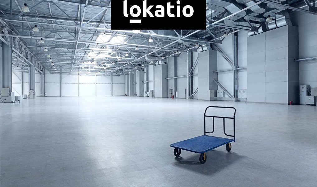 Pronájem skladovacích prostor 12 208 m², Hrušky – náhled fotky 7