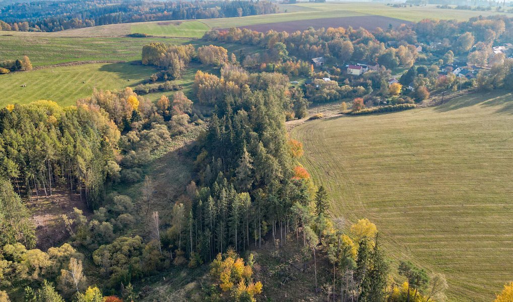 Prodej pozemku 15 970 m², Planá – náhled fotky 11