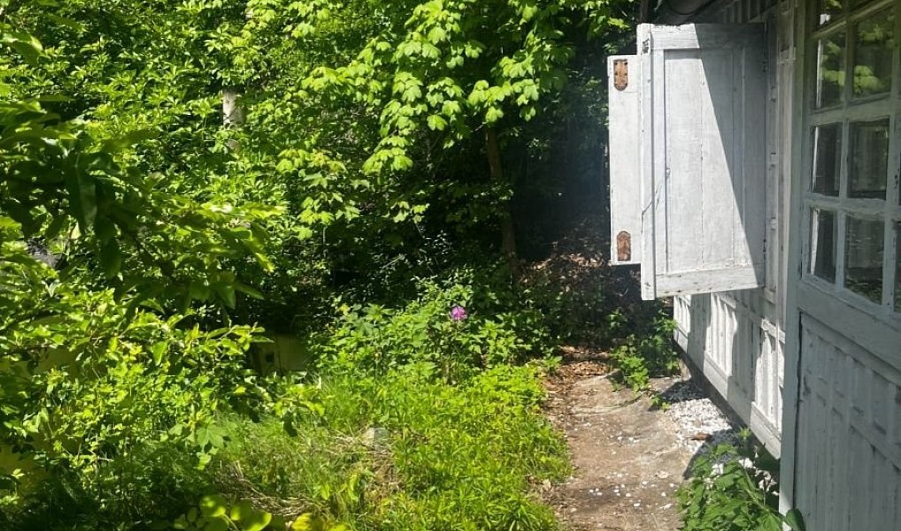Prodej chaty/chalupy 29 m² s pozemkem 60 m², Jílové u Prahy – náhled fotky 8