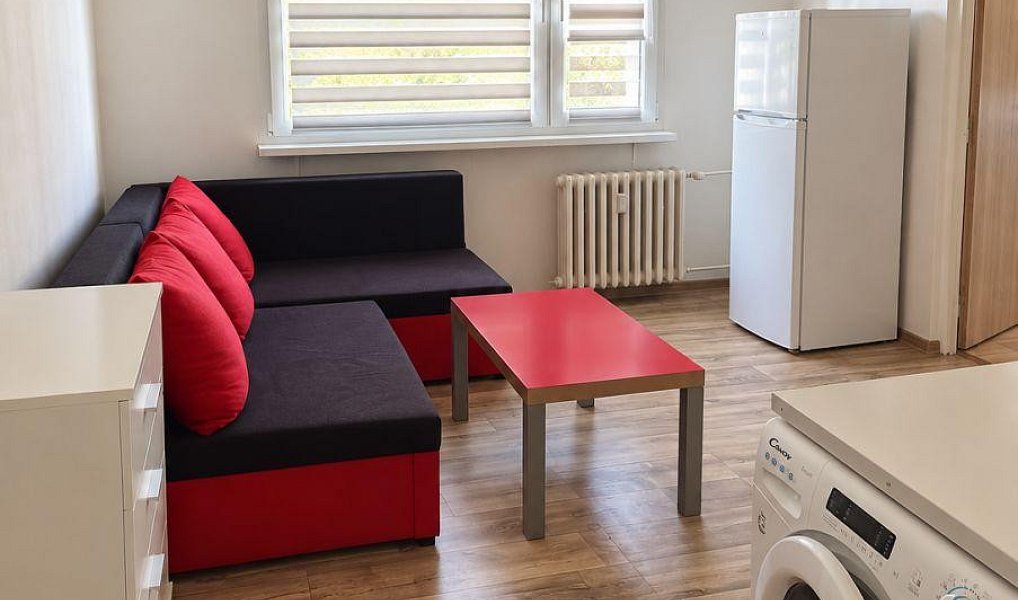 Prodej bytu 1+1 35 m², Chomutov – náhled fotky 6