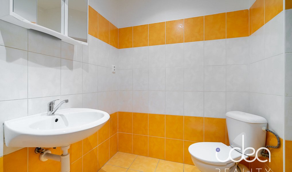 Pronájem bytu 1+1 35 m², Plzeň – náhled fotky 7