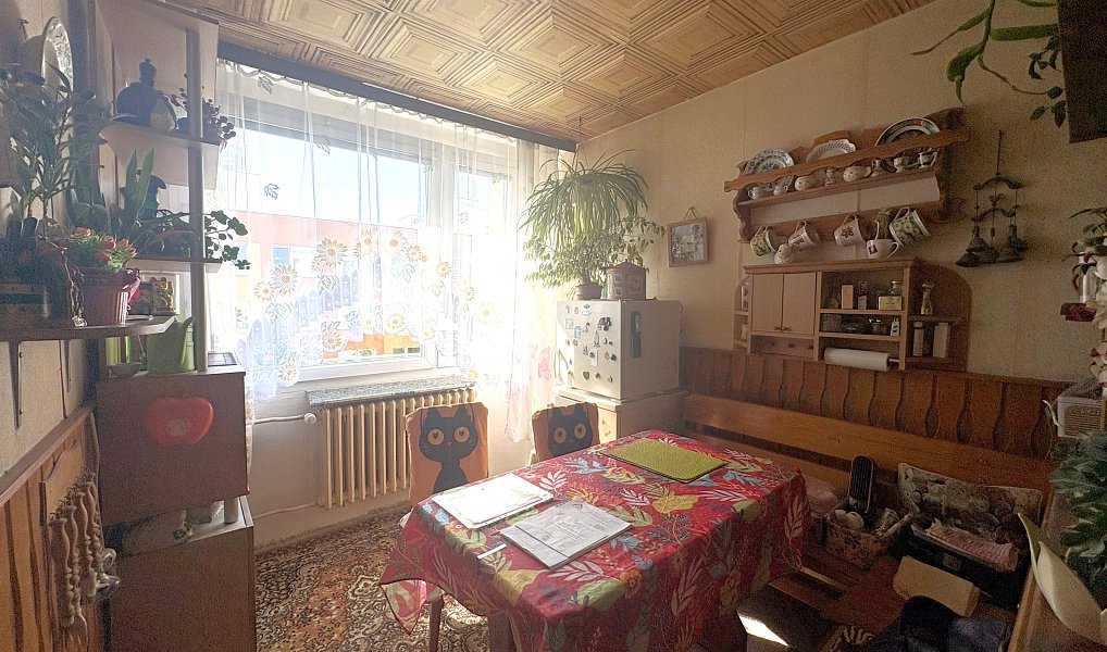 Prodej bytu 3+1 69 m², Králův Dvůr – náhled fotky 4