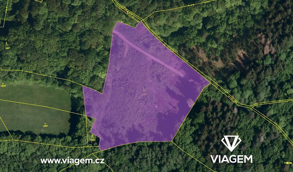 Prodej lesa 5 802 m², Janová – náhled fotky 4