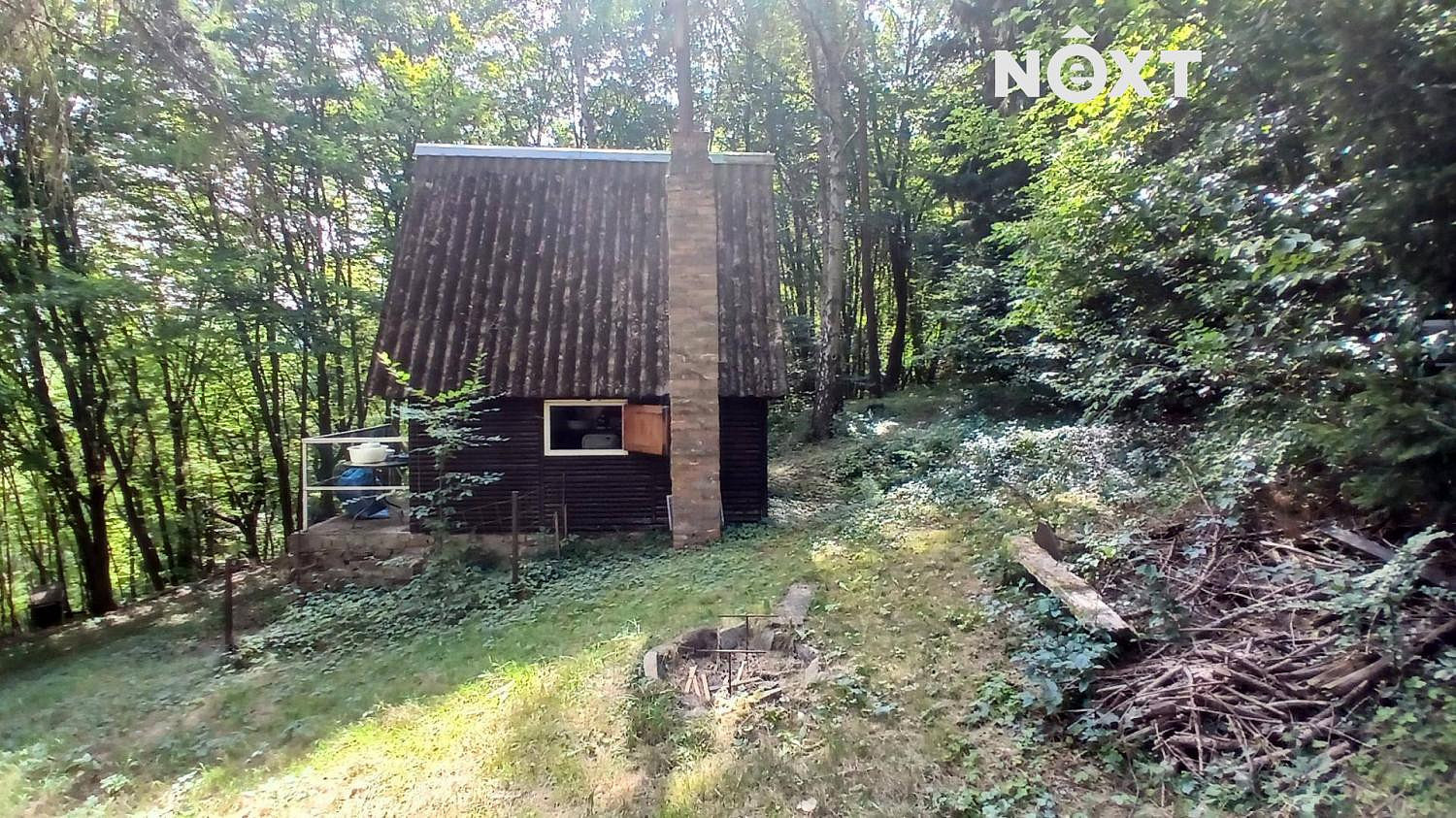 Prodej lesa 1 228 m² — photo 3