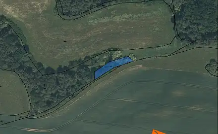 Prodej lesa 540 m², Ves Touškov, okres Plzeň-Jih