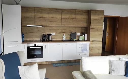 Pronájem bytu 3+kk 100 m², Rakovecká, Brno - Bystrc