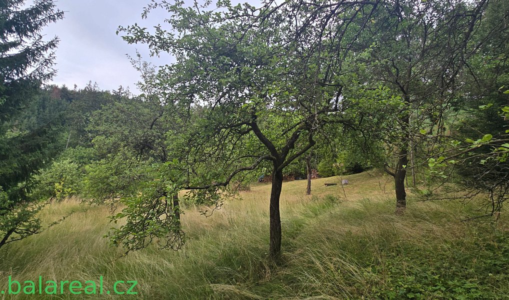 Prodej domu 93 m² s pozemkem 1 667 m², Šošůvka – náhled fotky 17