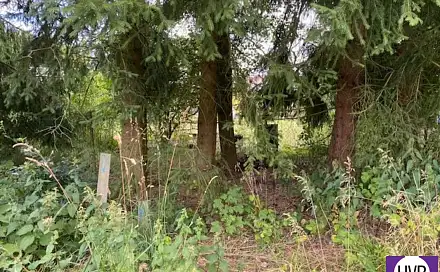Prodej stavebního pozemku 511 m², Sklenský vrch, Rotava, okres Sokolov